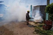 Con fumigación contrarrestarán casos de dengue en Valledupar