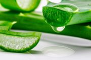 ¿Qué es la sábila o aloe vera?