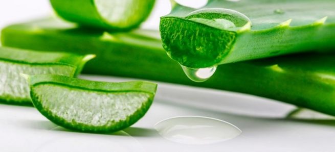 ¿Qué es la sábila o aloe vera?