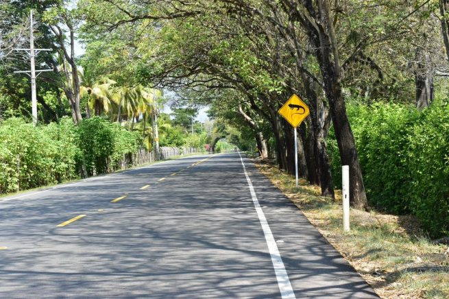 Lanzan Guía para entender y diagnosticar el impacto del atropellamiento de fauna silvestre en Colombia