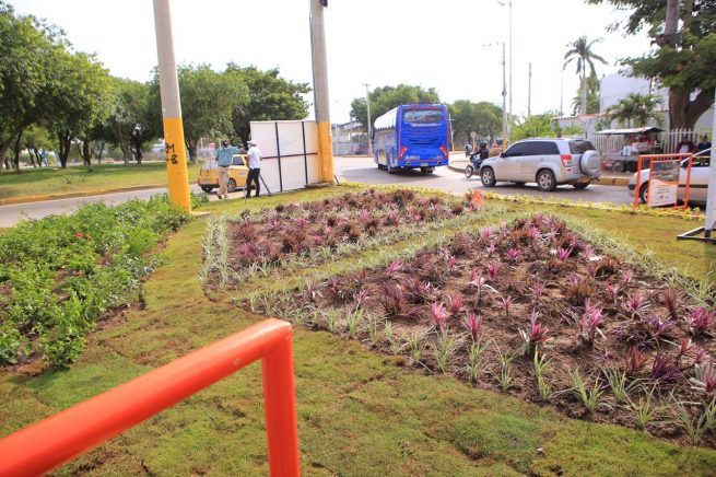 Alcaldía lanza el programa ‘Valledupar Florece’