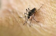 ¡Alerta! 157 casos de dengue confirmados en Valledupar