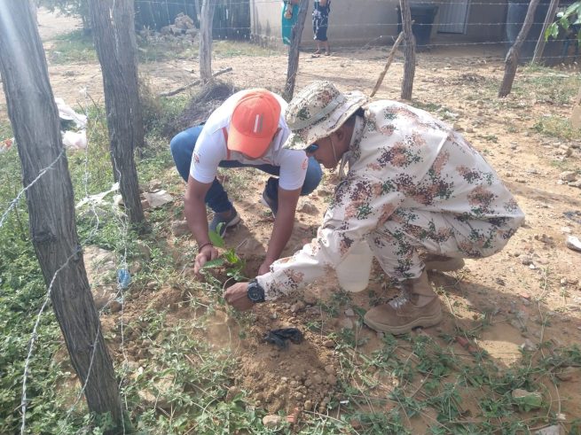Ejército Nacional y Alcaldía siembran 2200 árboles nativos en Uribia