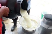 El precio de la leche seguirá subiendo: Asoleche