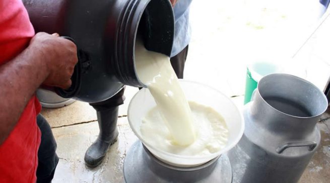 El precio de la leche seguirá subiendo: Asoleche