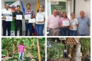 Cesar sigue sumando predios certificados en buenas prácticas agrícolas