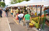 Regresa el mercado campesino a Valledupar