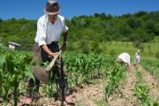 CampeSENA certificará la experiencia de 20.000 campesinas y campesinos