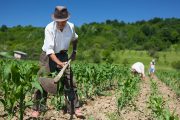 Reactivan el Sistema Nacional de Reforma Agraria