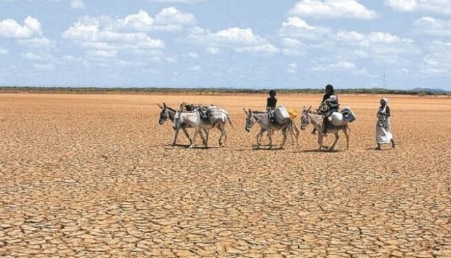 Destinan $ 4 mil millones para prevenir efectos del fenómeno de El Niño en La Guajira