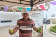 Firman acuerdo de cero deforestaciones en La Guajira