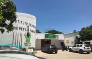 Icbf deja bajo protección en hogar sustituto a hermanos víctimas de violencia en La Guajira