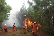 Colombia alerta por riesgo de incendios forestales