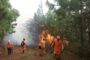 Colombia alerta por riesgo de incendios forestales