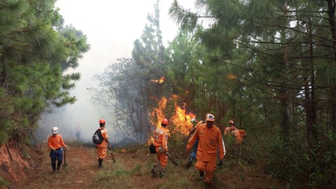 Colombia alerta por riesgo de incendios forestales