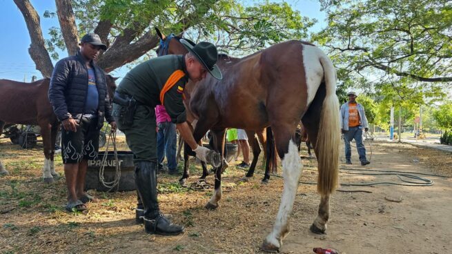 Propietarios de vehículos de tracción animal en Valledupar, fueron sensibilizados