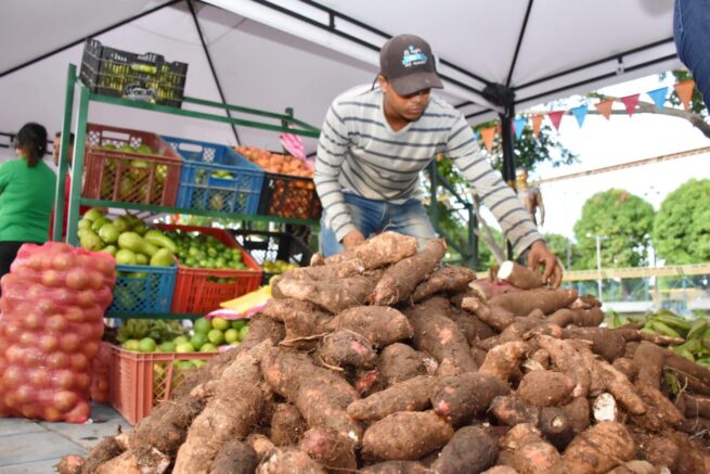 En Valledupar disfrutará del primer Mercado de Producción Campesina