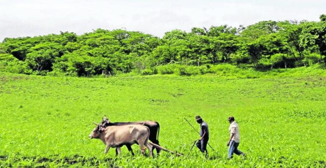 Gobierno firma decreto clave para la industrialización del campo