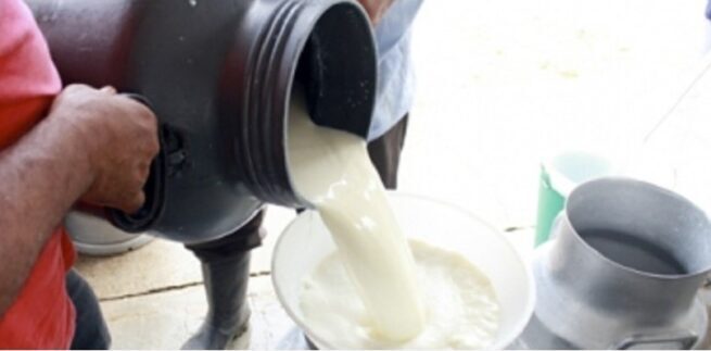 Inician las subastas de leche para incentivar compras a productoras y productores nacionales