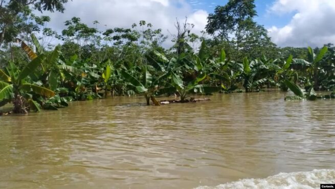 Ante el fenómeno de La Niña y huracanes, Procuraduría pide prevención y preparación