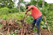 $ 73.000 millones para rentabilizar la agricultura campesina, familiar, étnica y comunitaria