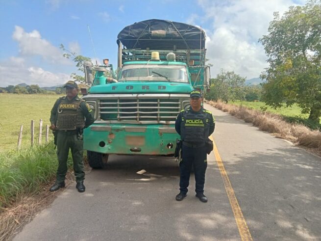 En Chimichagua, Cesar, Policía incautó diez semovientes