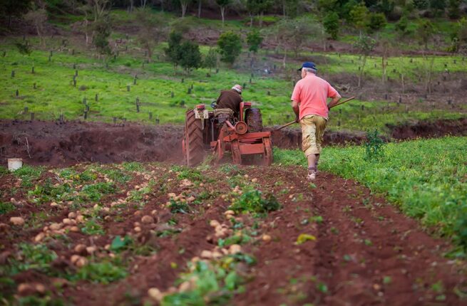 Habilitan más de $ 45.000 millones para incentivar proyectos campesinos