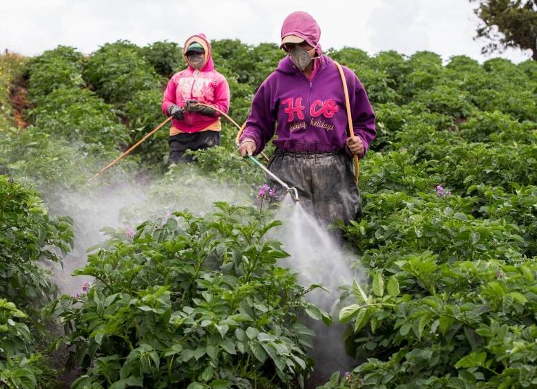 Aprobado el rediferimiento arancelario en insumos importados