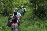 Cerca de 46 mil niños del Catatumbo sin clases por hostilidades de grupos armados criminales