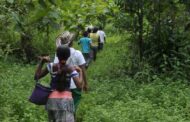 Cerca de 46 mil niños del Catatumbo sin clases por hostilidades de grupos armados criminales