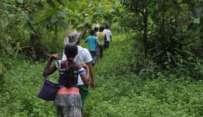 Cerca de 46 mil niños del Catatumbo sin clases por hostilidades de grupos armados criminales