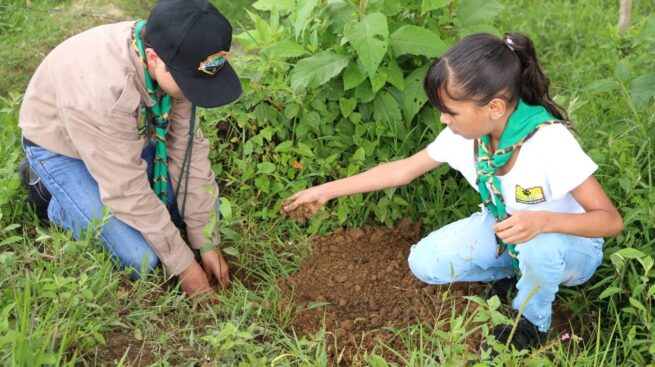 Gobierno prepara nueva política de educación ambiental