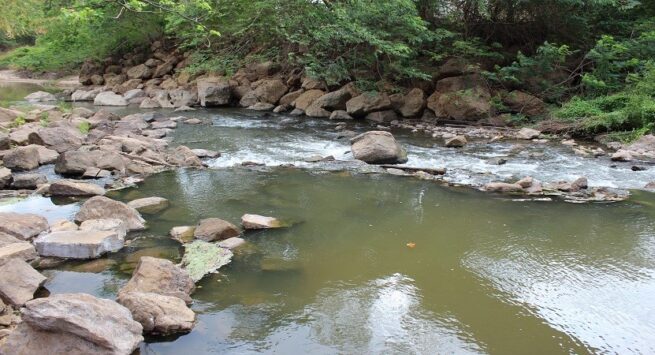 A través de convenio internacional, restaurarán ecosistema de manglar en el DRMI del río Ranchería